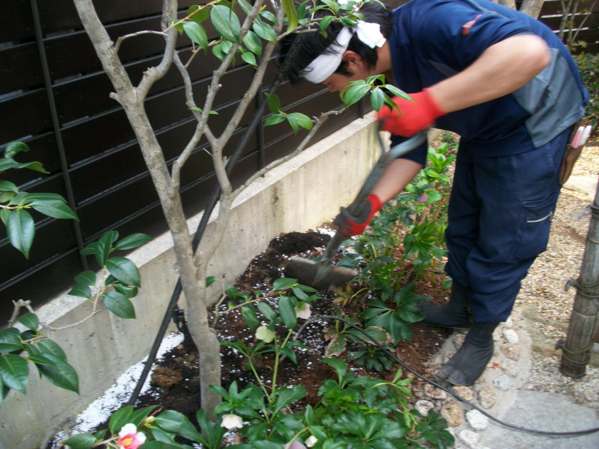 植木の植栽　植え込み